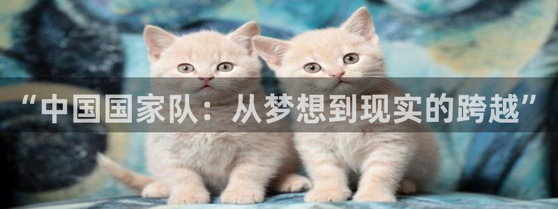 意昂体育app正版下载安装：“中国国