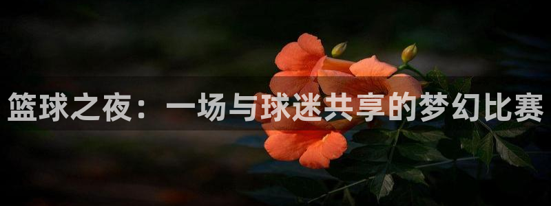 意昂体育app官方网站入口在线观看：