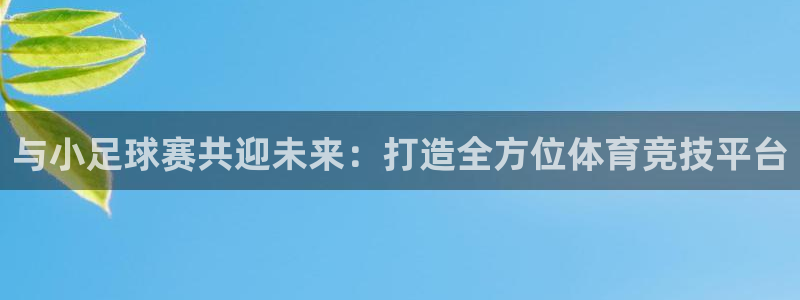 意昂体育app下载安装官网：与小足球