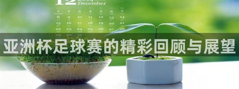  意昂平台登录入口最新版本介绍：亚洲杯足球赛的精彩回顾与展望