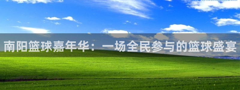  意昂平台官网：南阳篮球嘉年华：一场全民参与的篮球盛宴